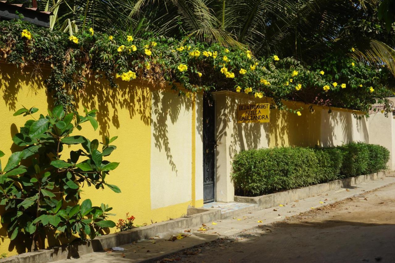 B & B Villa Calliandra Bijilo 外观 照片
