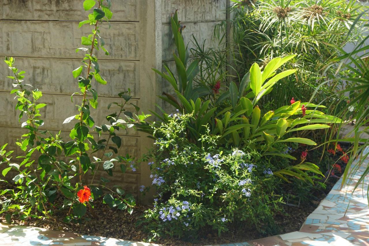 B & B Villa Calliandra Bijilo 外观 照片